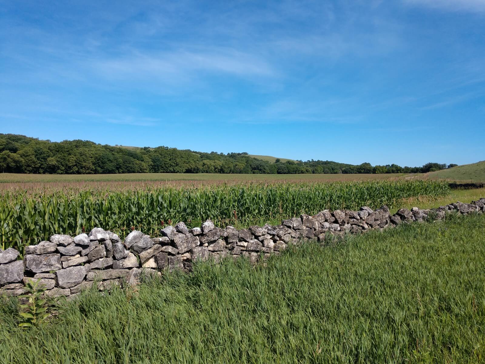 Home Larson Farms Crop and Livestock Production